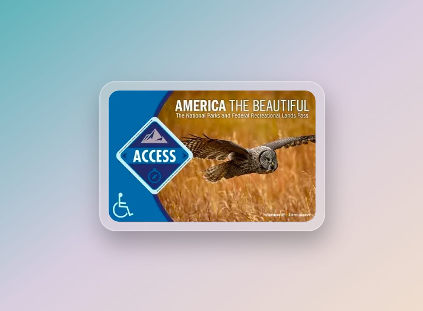 Disability Access America the Beautiful National Parks Pass