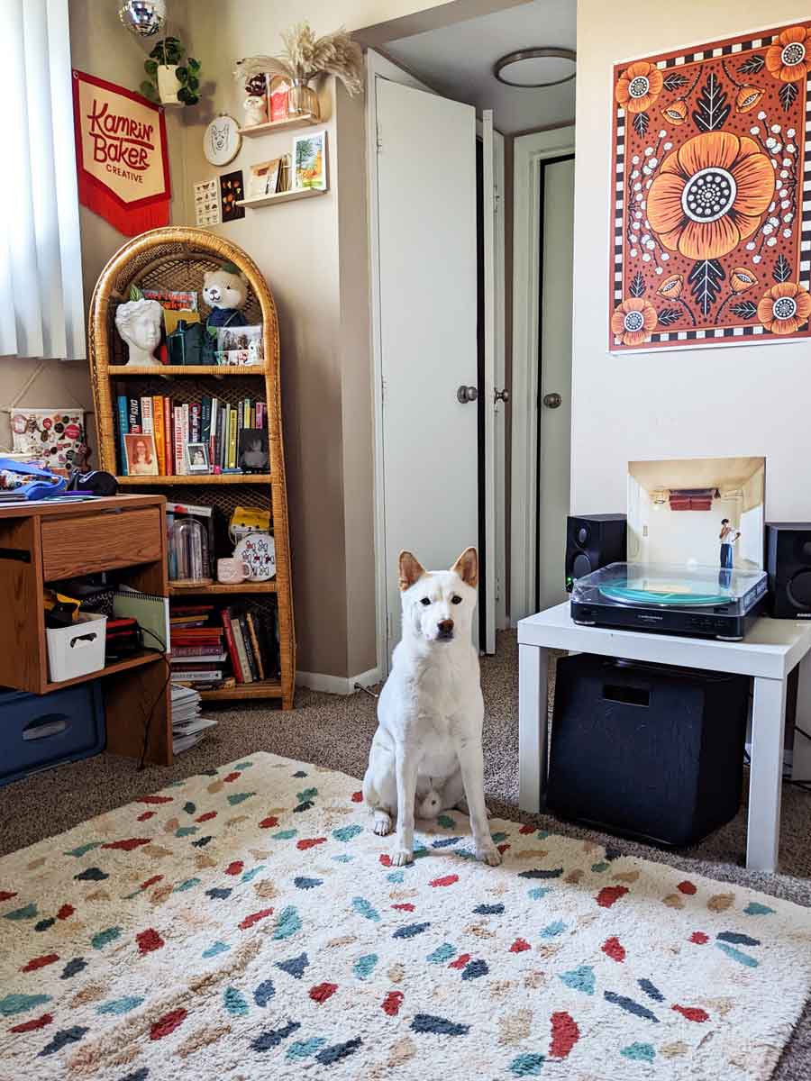 Dog sitting on a colorful rug