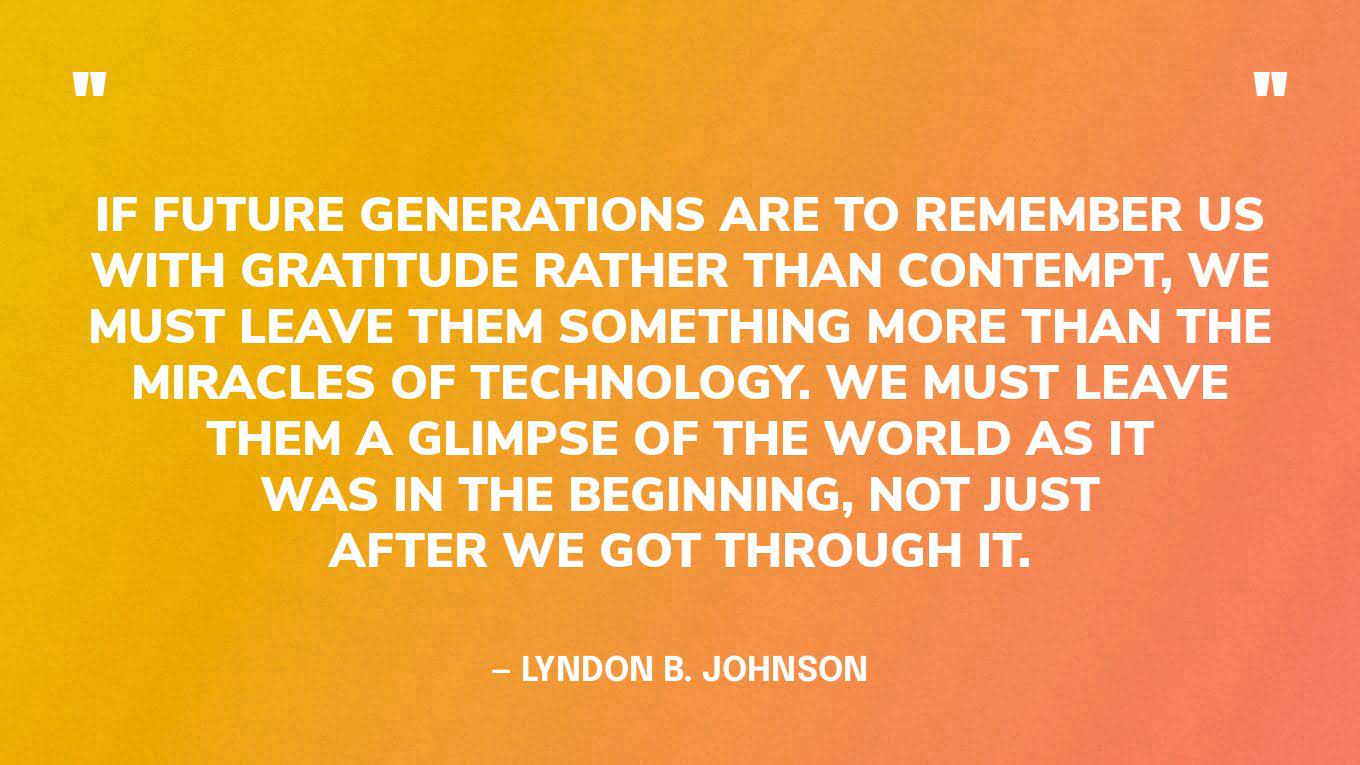 “If future generations are to remember us with gratitude rather than contempt, we must leave them something more than the miracles of technology. We must leave them a glimpse of the world as it was in the beginning, not just after we got through it.” — Lyndon B. Johnson