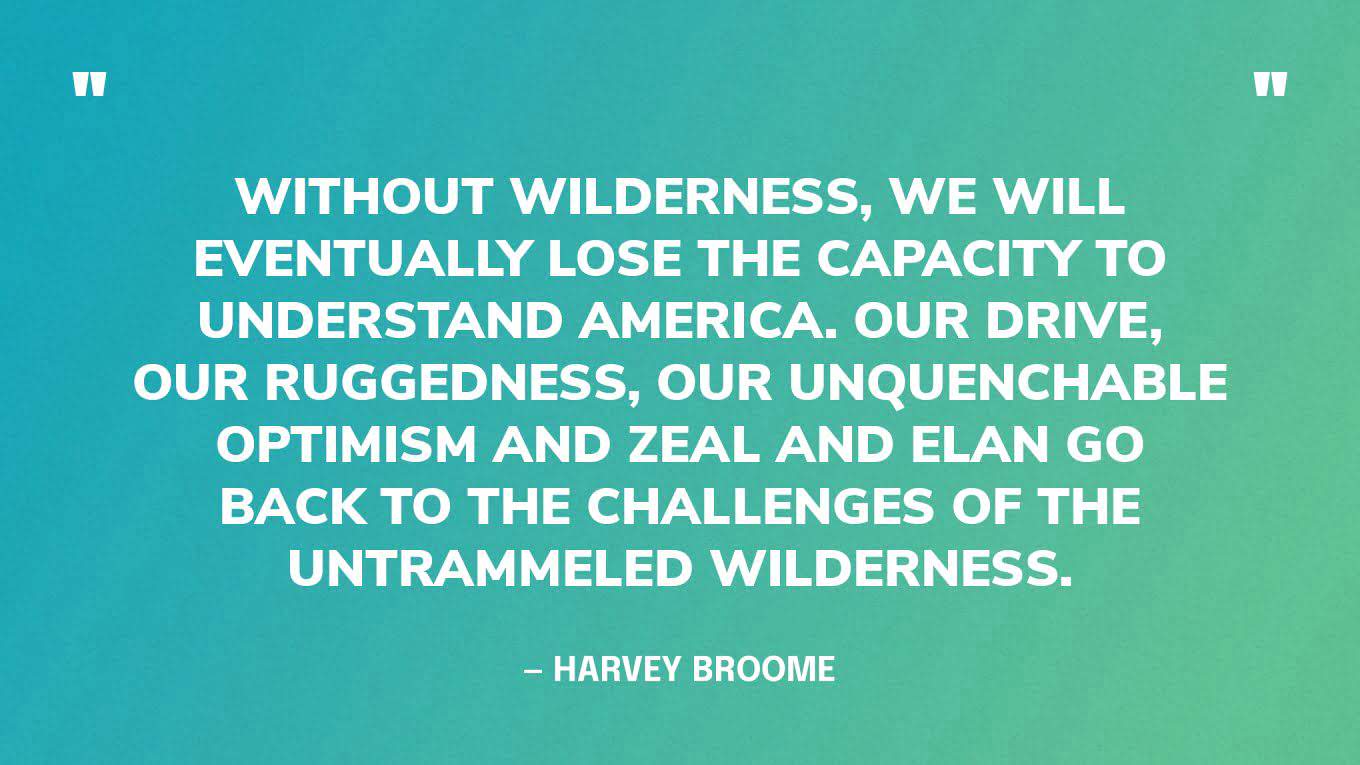 “Without wilderness, we will eventually lose the capacity to understand America. Our drive, our ruggedness, our unquenchable optimism and zeal and elan go back to the challenges of the untrammeled wilderness.” — Harvey Broome