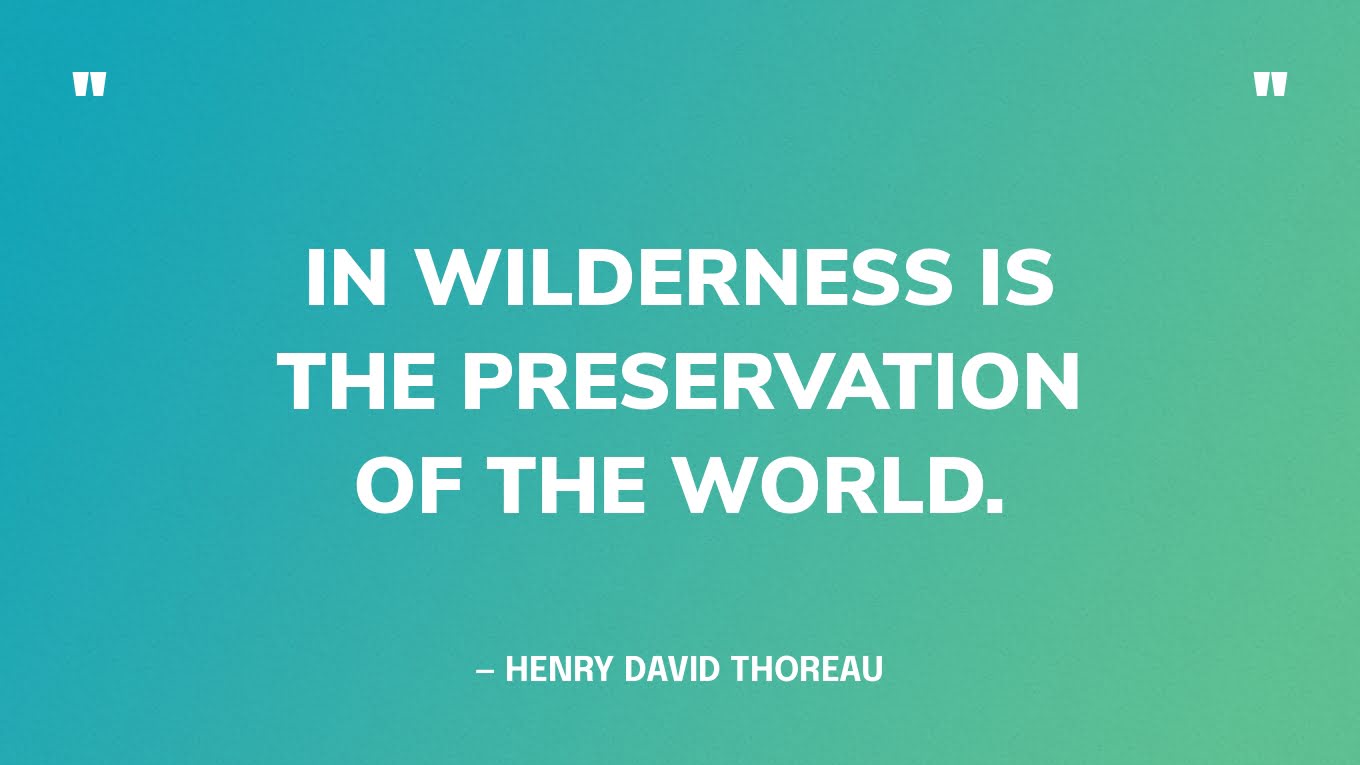 “In wilderness is the preservation of the world.” — Henry David Thoreau‍