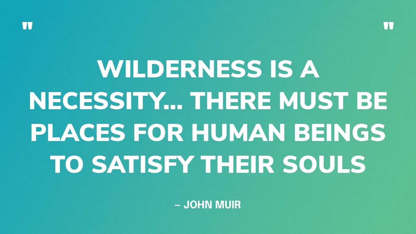 “Wilderness is a necessity… there must be places for human beings to satisfy their souls” — John Muir