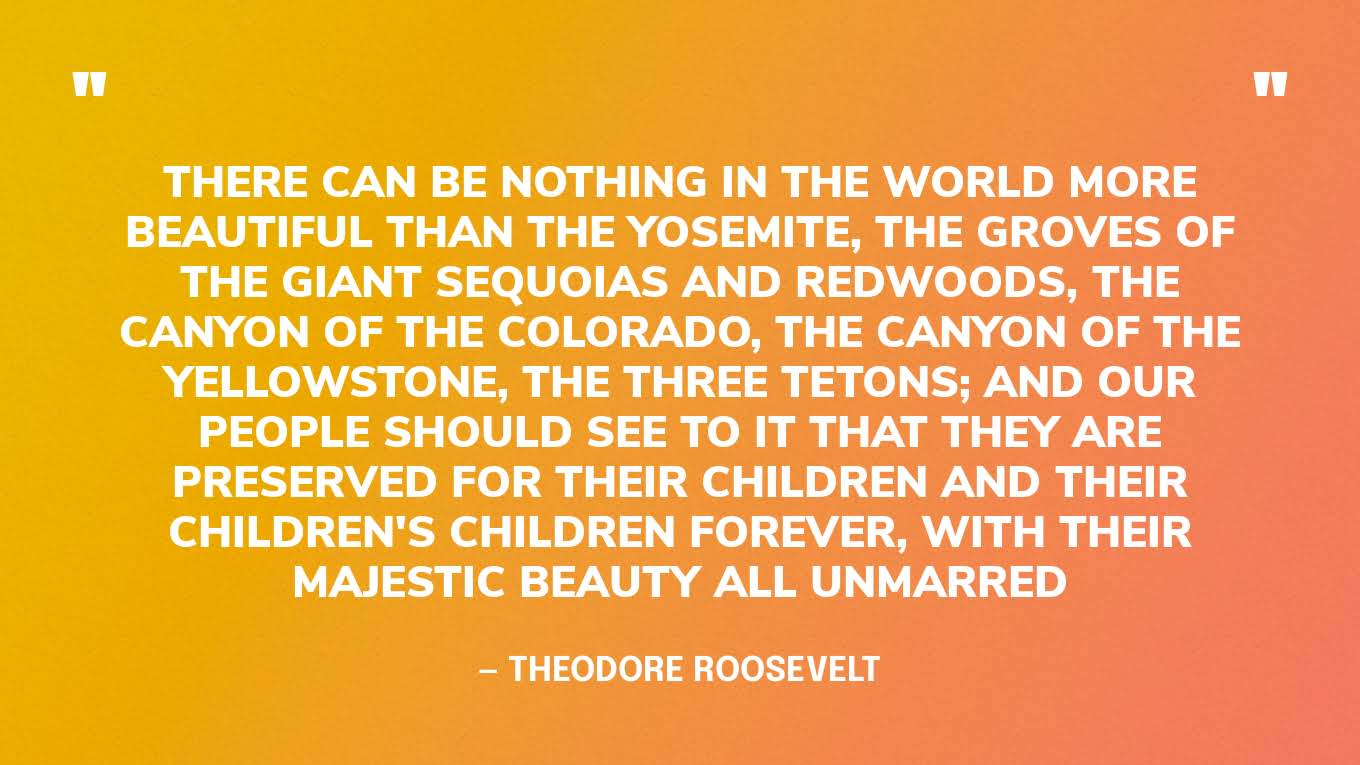 “There can be nothing in the world more beautiful than the Yosemite, the groves of the giant sequoias and redwoods, the Canyon of the Colorado, the Canyon of the Yellowstone, the Three Tetons; and our people should see to it that they are preserved for their children and their children's children forever, with their majestic beauty all unmarred.” — Theodore Roosevelt