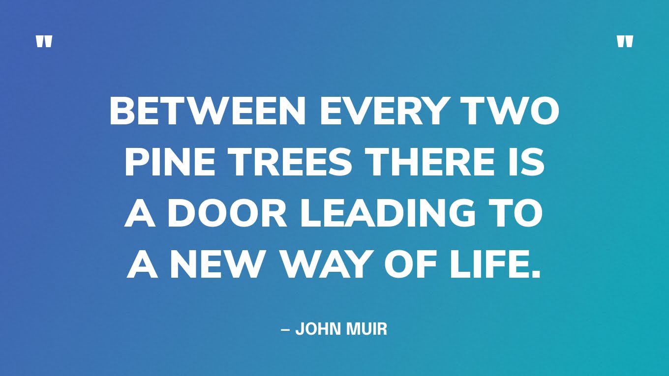 “Between every two pine trees there is a door leading to a new way of life.” — John Muir