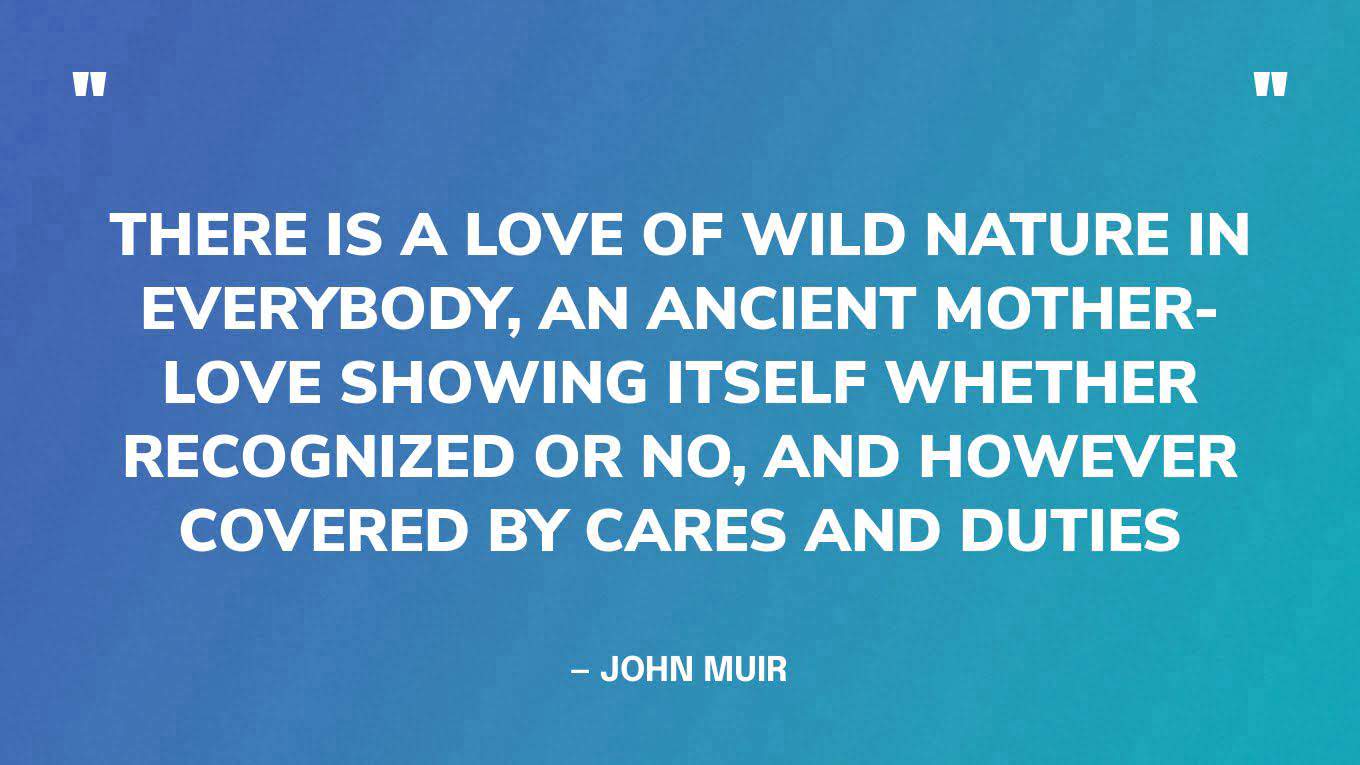 “There is a love of wild nature in everybody, an ancient mother-love showing itself whether recognized or no, and however covered by cares and duties” — John Muir