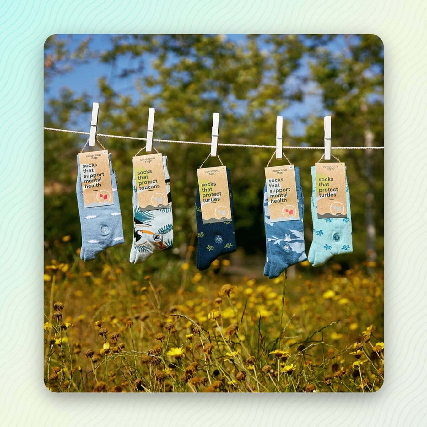 Socks hanging from a clothes line — with packaging that says "Socks that..." : supports mental health, protect toucans, protect turtles, support mental health