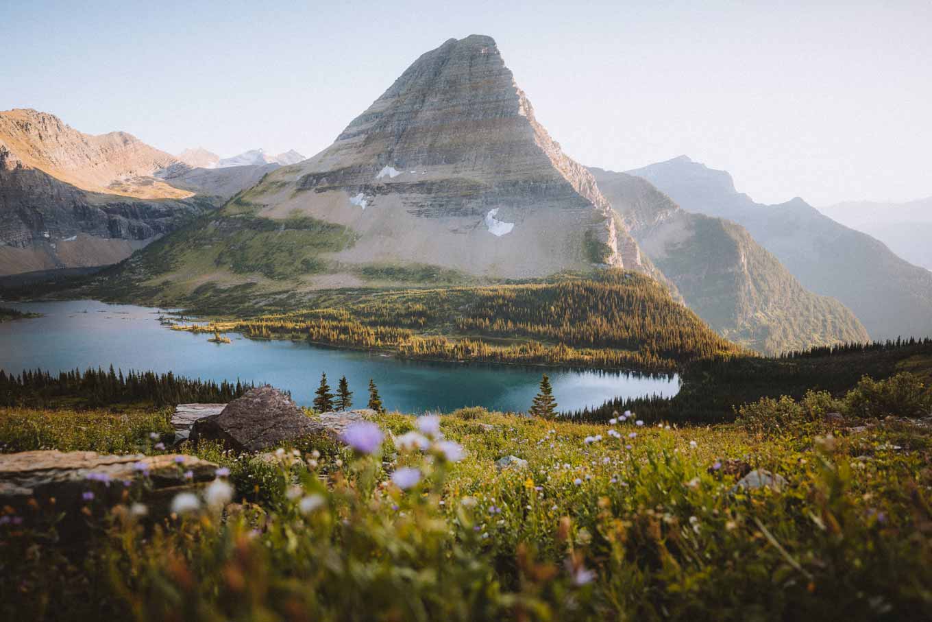 Landscape view of Glacier National Park, with flowers budding in the foreground