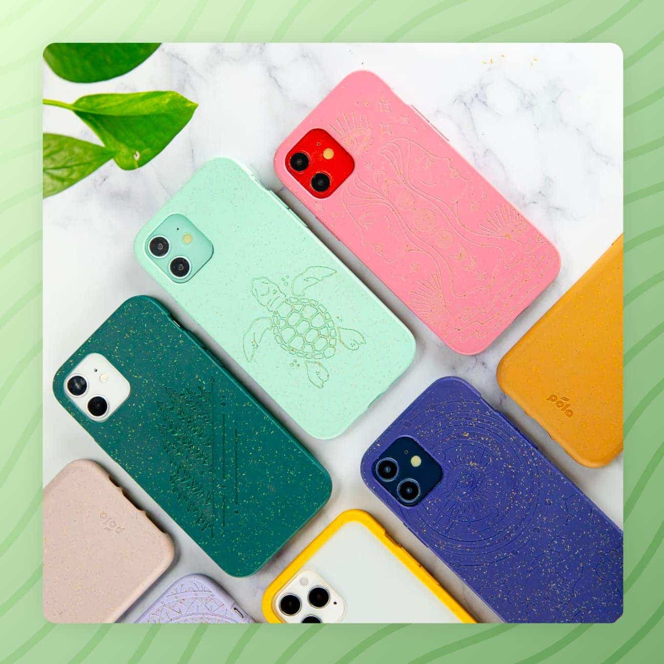 Several compostable phone cases