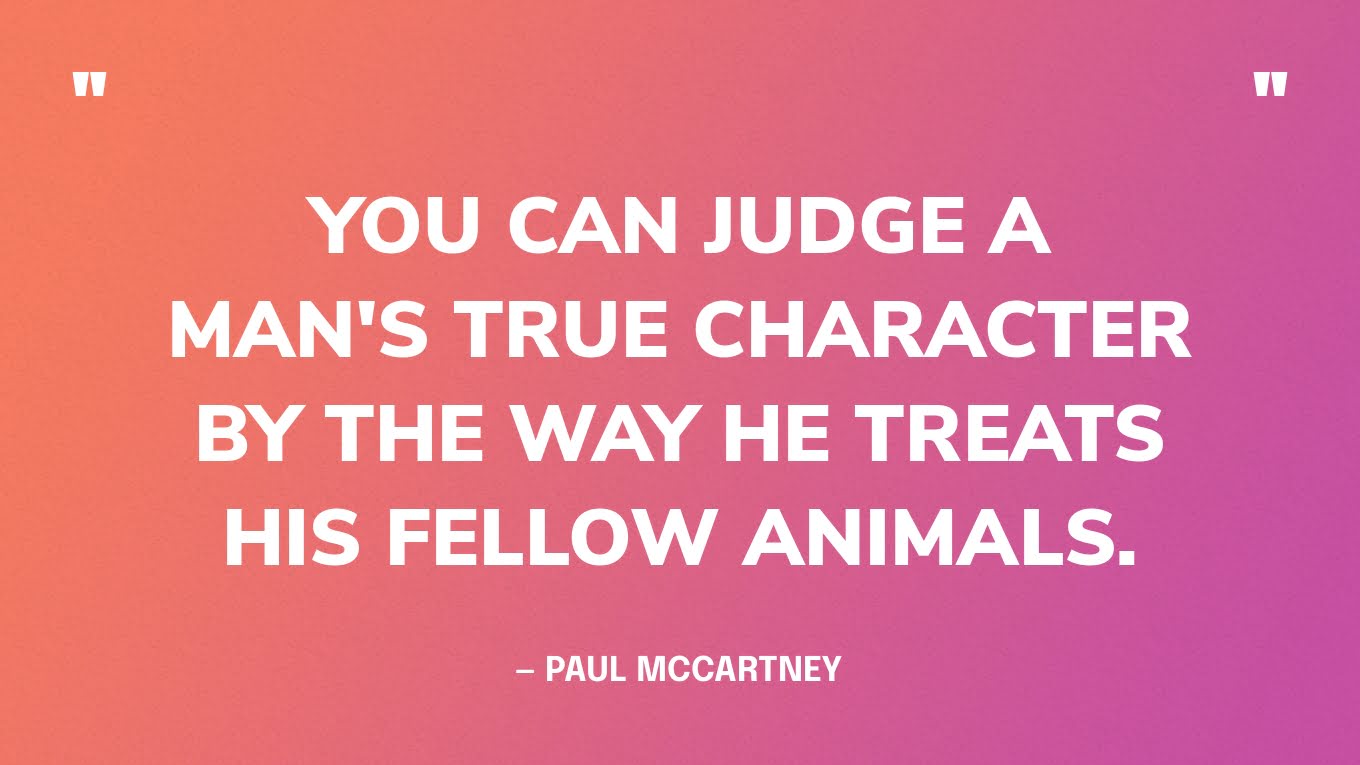 “You can judge a man's true character by the way he treats his fellow animals.” ― Paul Mccartney