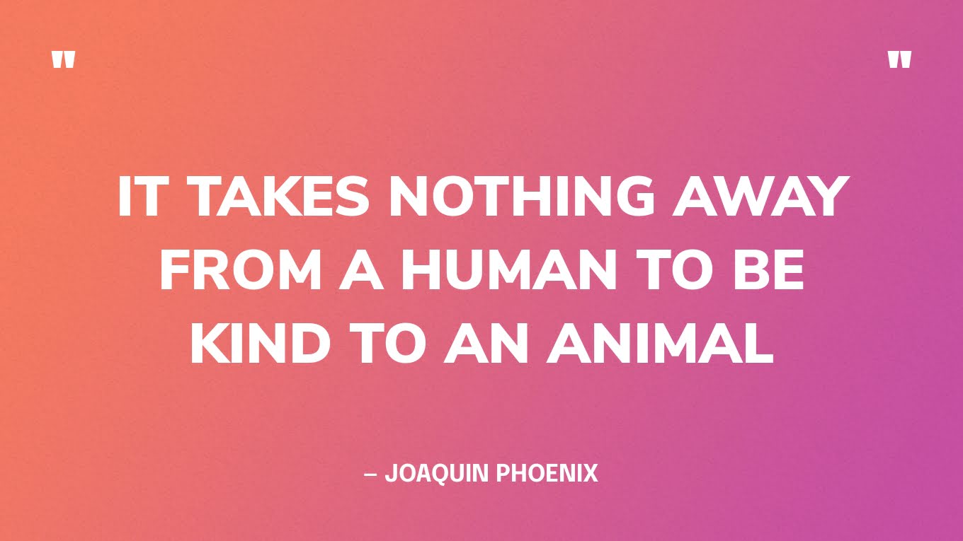 “It takes nothing away from a human to be kind to an animal” — Joaquin Phoenix