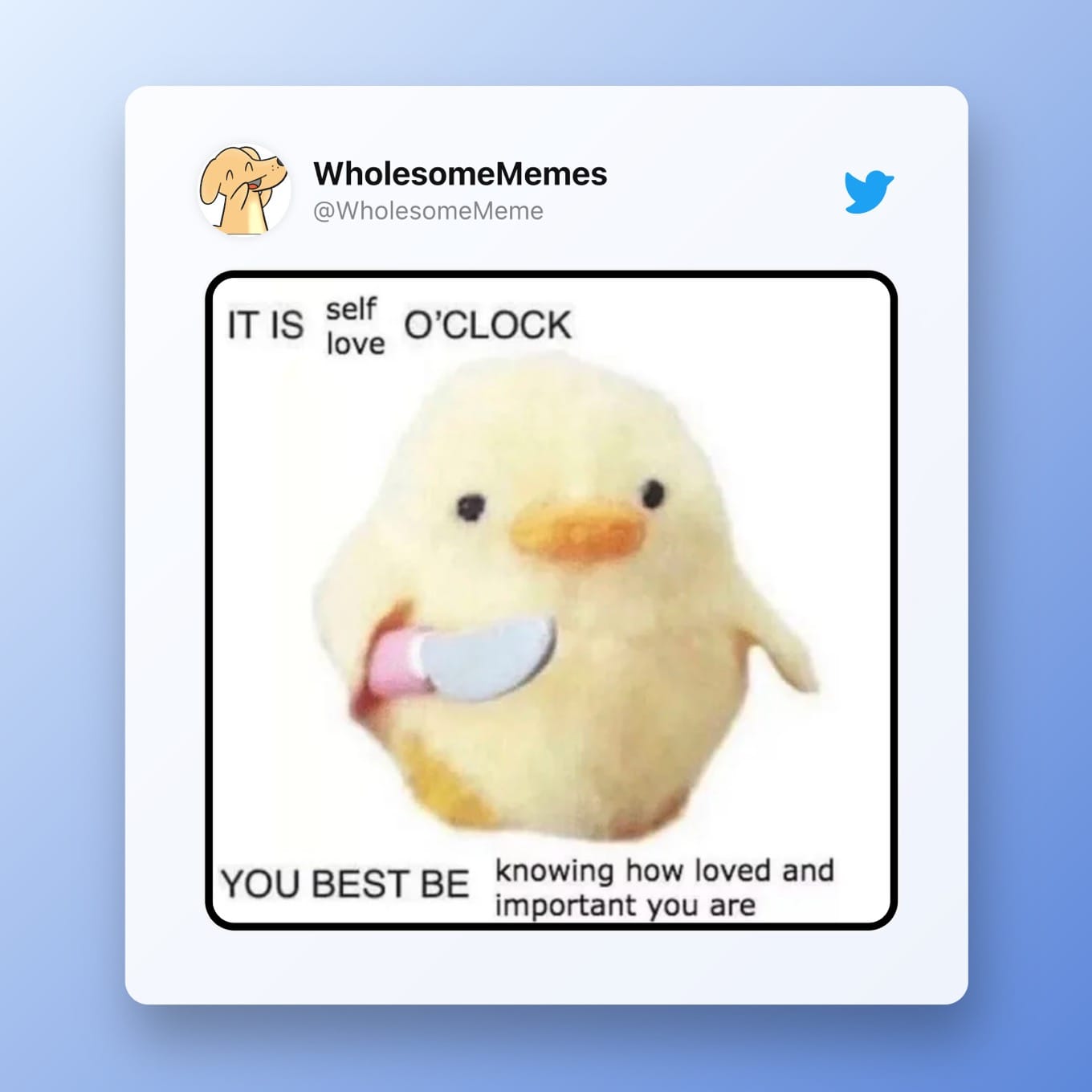 Wholesome Memes: It is self love o'clock