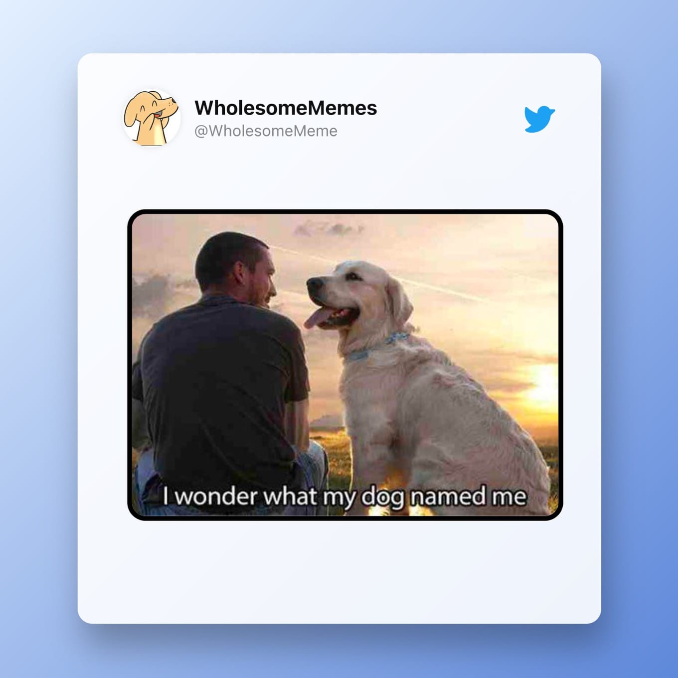 Wholesome Memes:  wonder what my dog named me