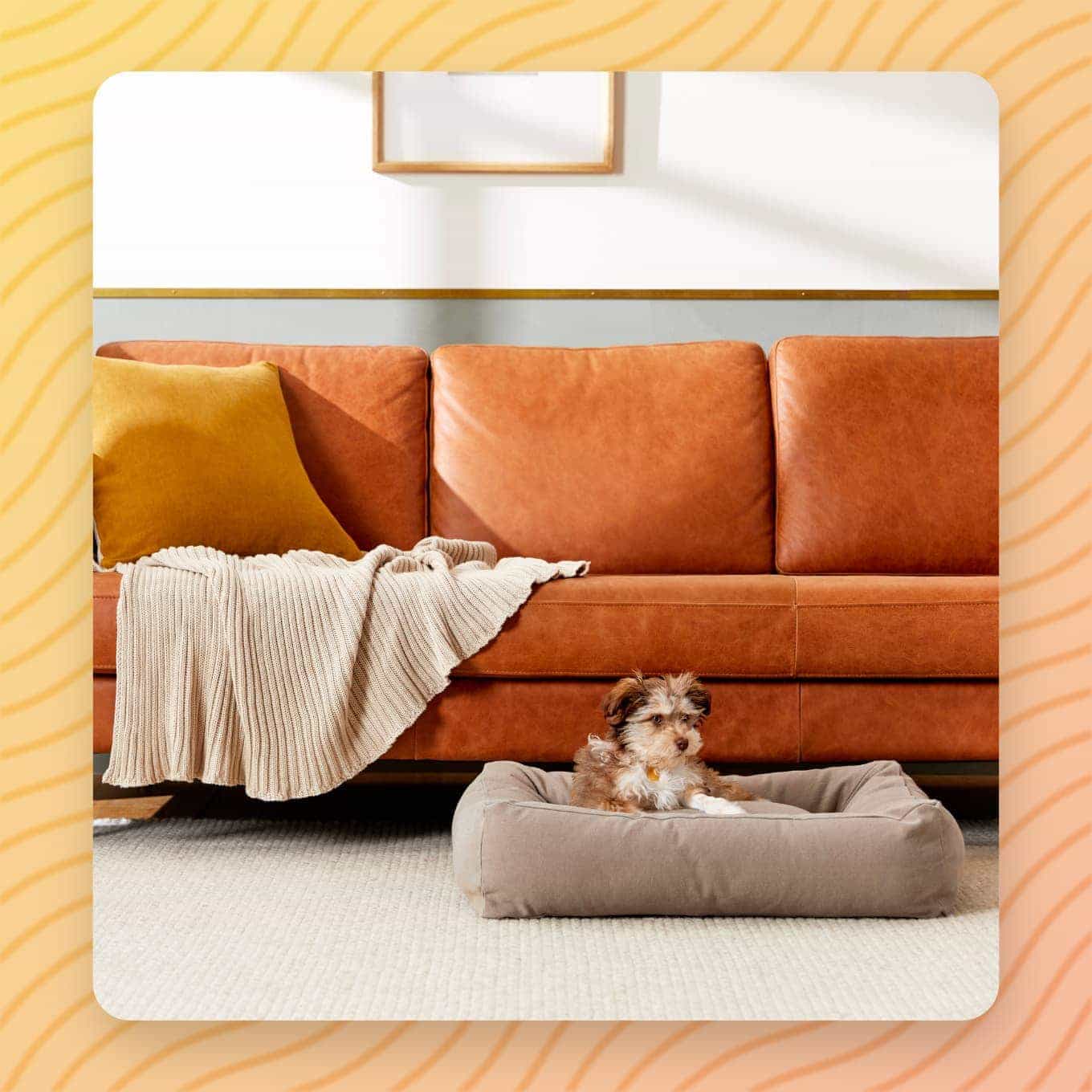 A dog sitting inside of a Canvas Bolster Dog Bed from Parachute Home