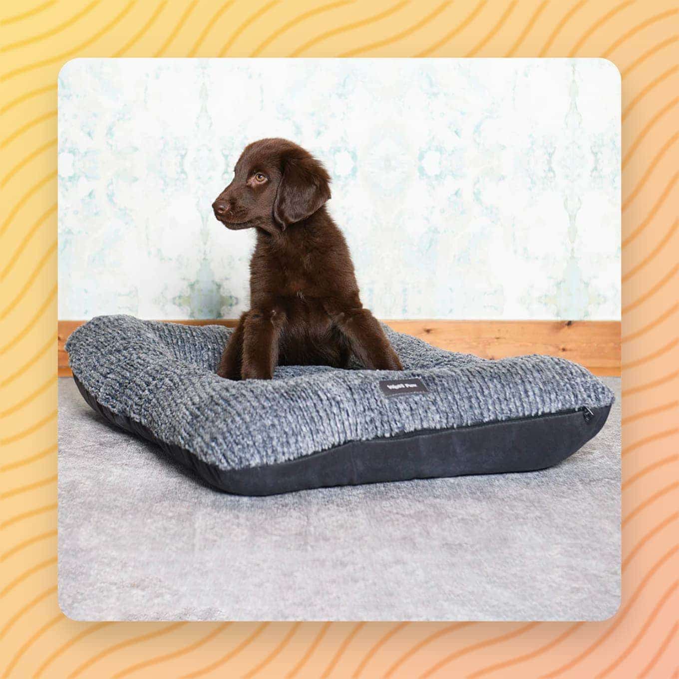 A puppy sitting on a Heyday Dog Bed from West Paw