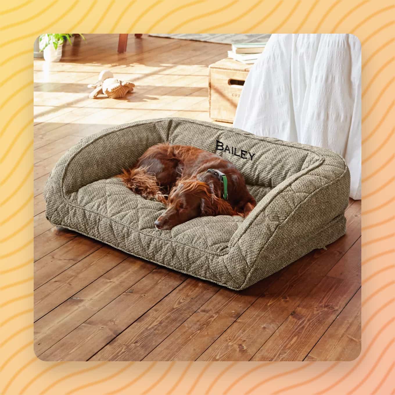 A dog laying on their couch-shaped Orvis dog bed, with their name embroidered on it: Bailey