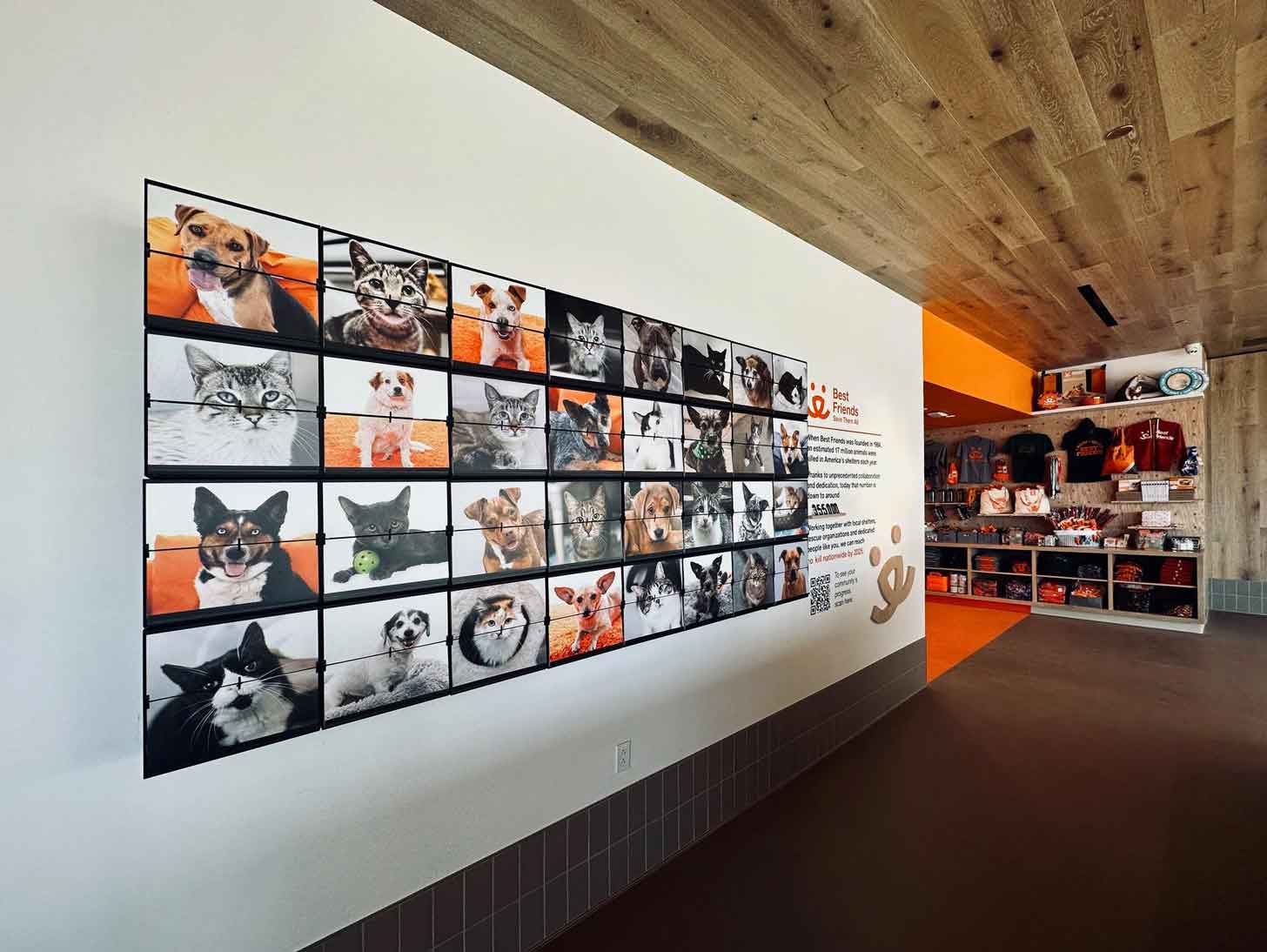 Wall of photos of dogs and cats at Best Friends Pet Resource Center