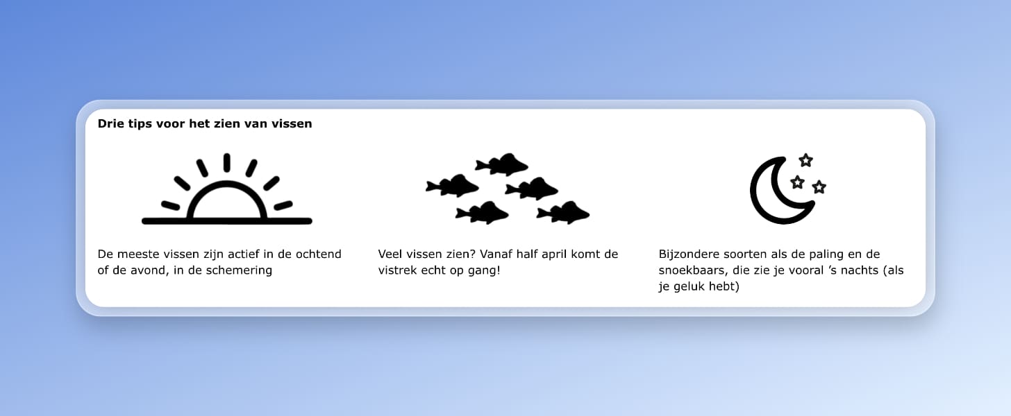 Fish doorbell tips, written in Dutch