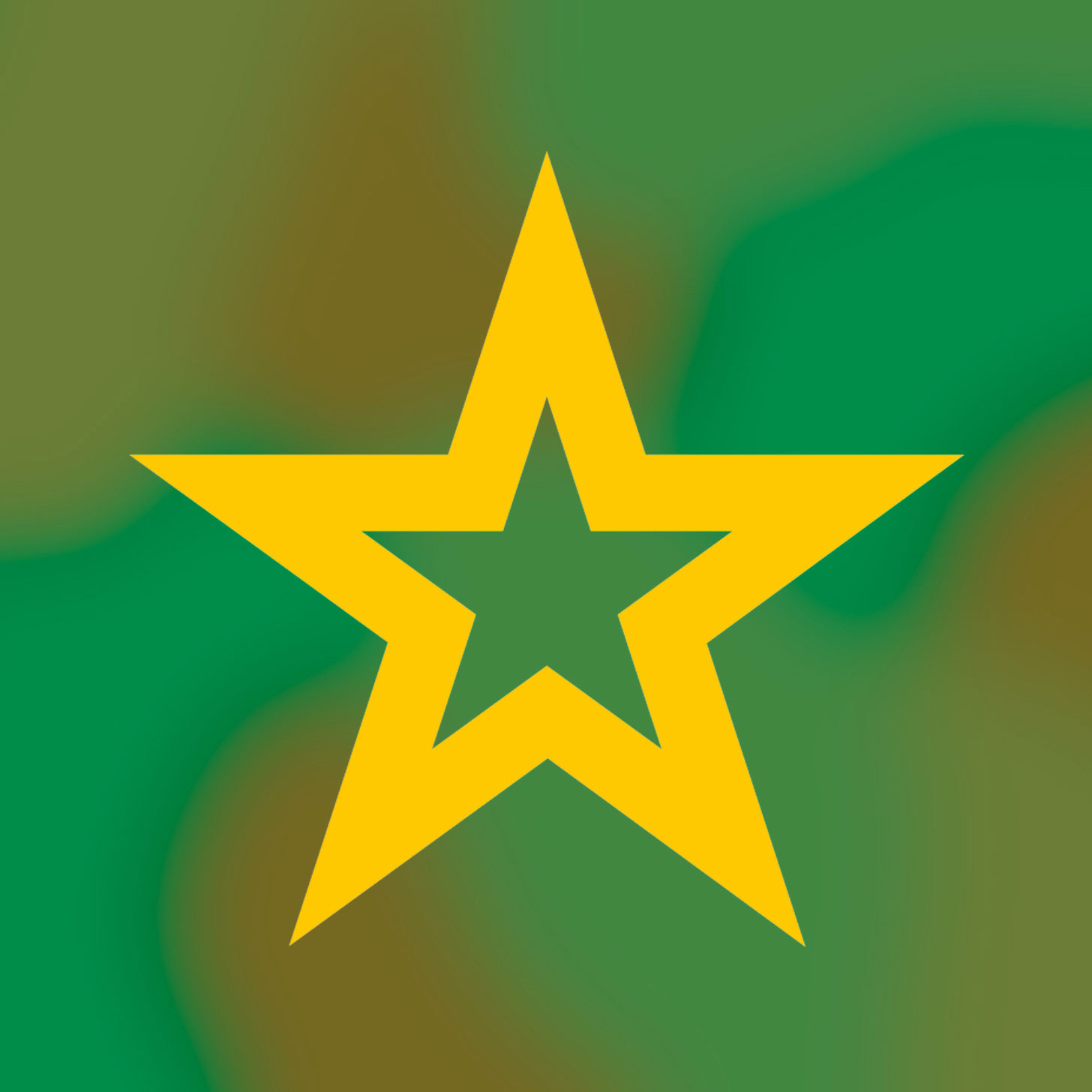 Gold Army star on a camo background