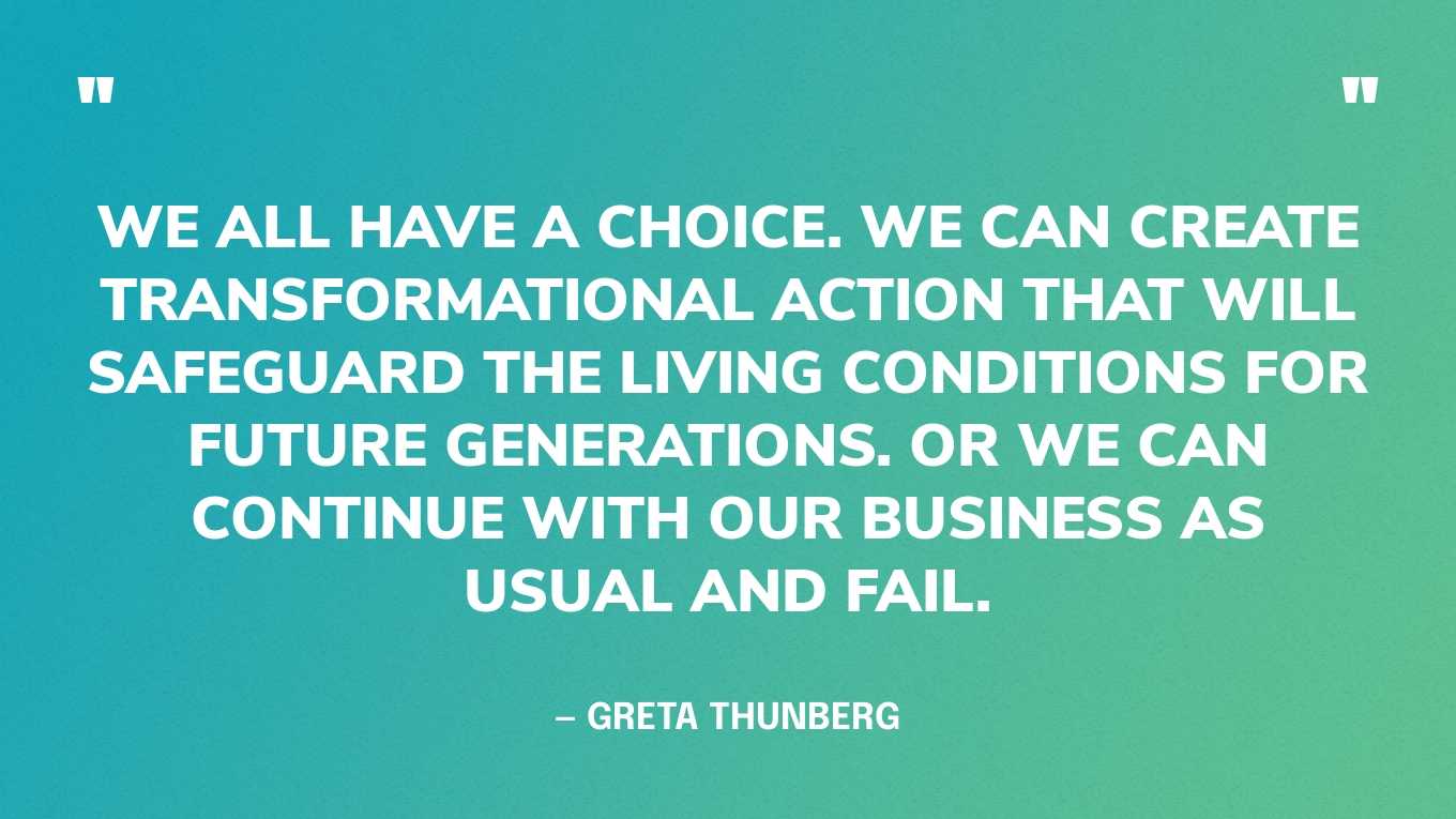 “We all have a choice. We can create transformational action that will safeguard the living conditions for future generations. Or we can continue with our business as usual and fail.” — Greta Thunberg, in a speech at the World Economic Forum, 2019‍