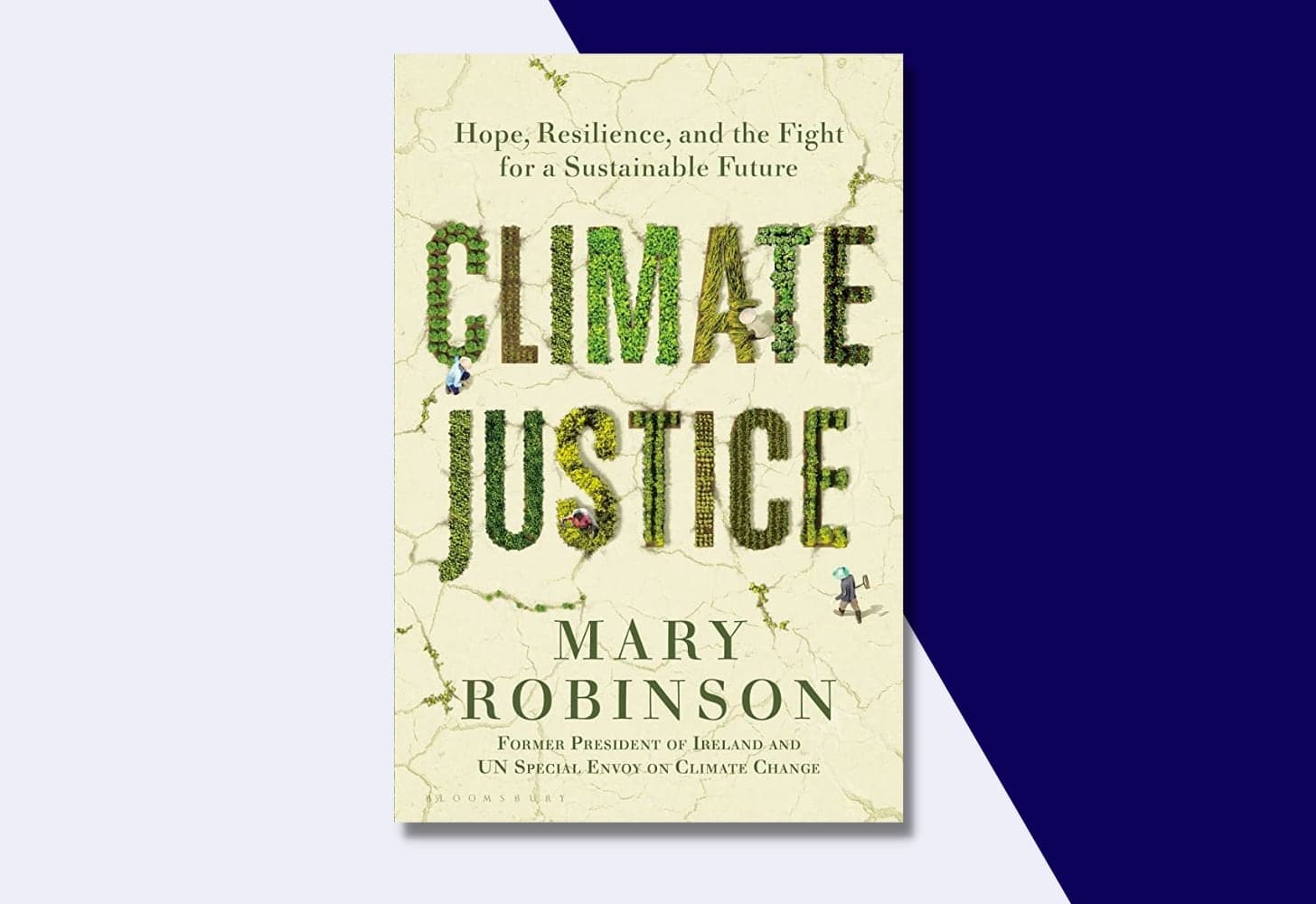 “Climate Justice: Hope, Resilience, and the Fight for a Sustainable Future” by Mary Robinson