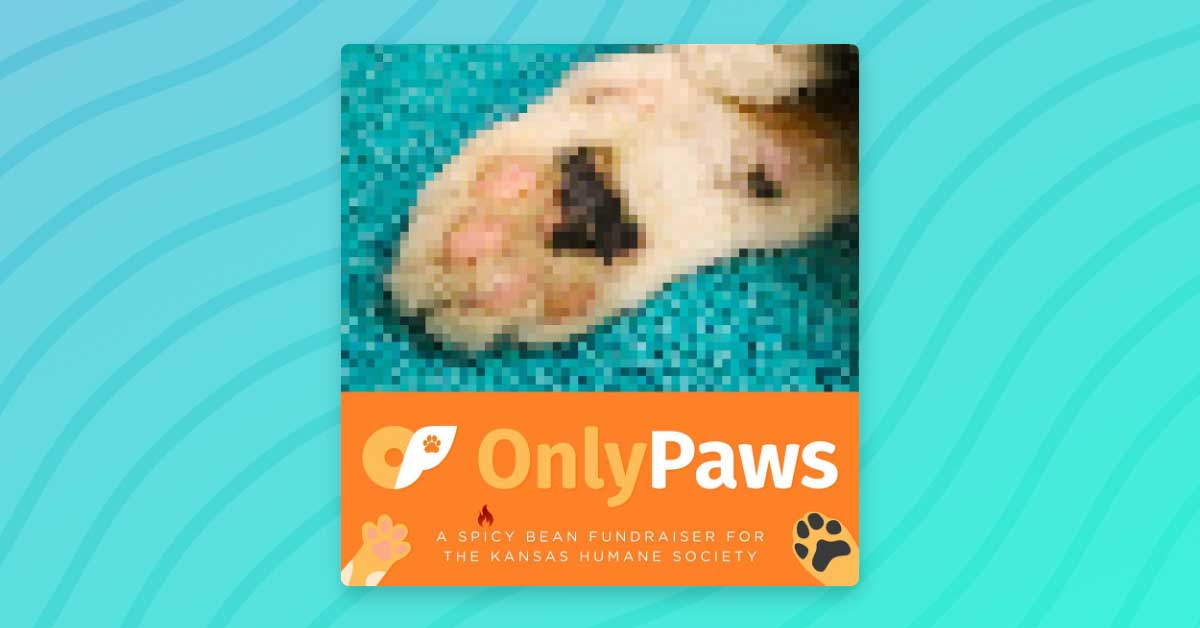 An intentionally pixelated image of a cat paw. Only Paws: A spicy bean fundraiser for the Kansas Humane Society