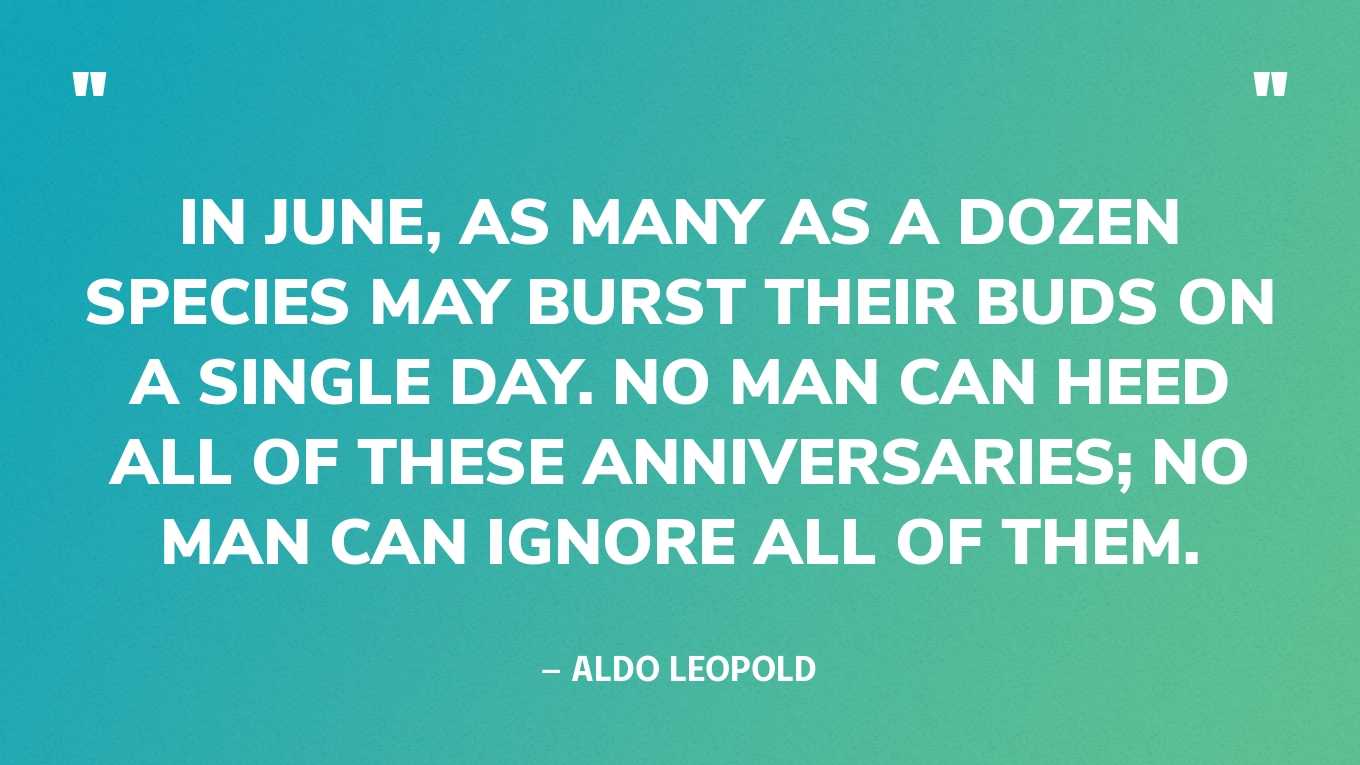 “In June, as many as a dozen species may burst their buds on a single day. No man can heed all of these anniversaries; no man can ignore all of them.” — Aldo Leopold