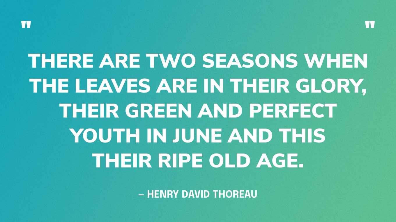 “There are two seasons when the leaves are in their glory, their green and perfect youth in June and this their ripe old age.” — Henry David Thoreau