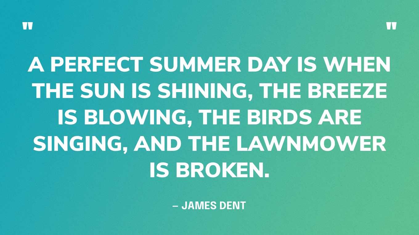 “A perfect summer day is when the sun is shining, the breeze is blowing, the birds are singing, and the lawnmower is broken.” — James Dent