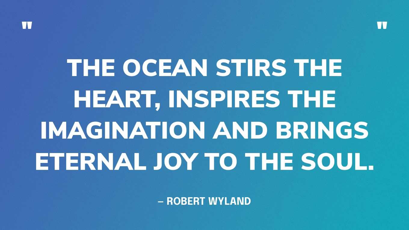 “The ocean stirs the heart, inspires the imagination and brings eternal joy to the soul.” — Robert Wyland