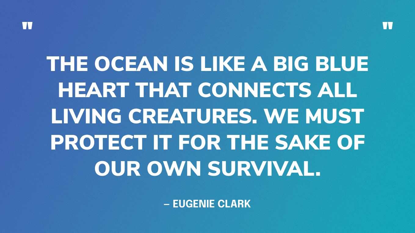 “The ocean is like a big blue heart that connects all living creatures. We must protect it for the sake of our own survival.” — Eugenie Clark