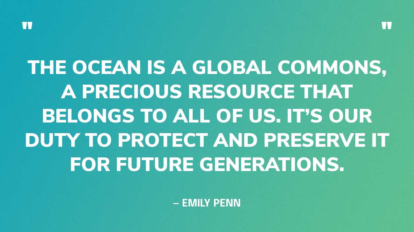 “The ocean is a global commons, a precious resource that belongs to all of us. It’s our duty to protect and preserve it for future generations.” — Emily Penn