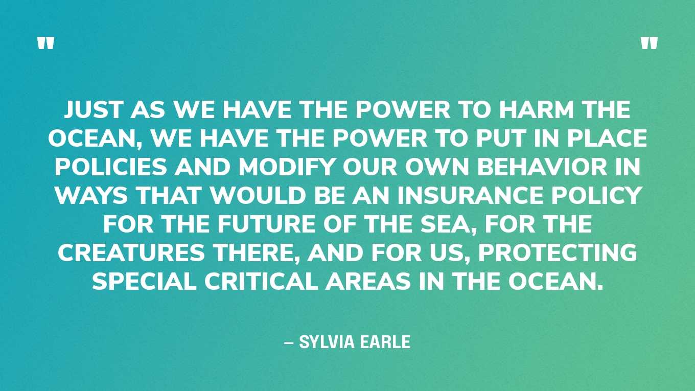 “Just as we have the power to harm the ocean, we have the power to put in place policies and modify our own behavior in ways that would be an insurance policy for the future of the sea, for the creatures there, and for us, protecting special critical areas in the ocean.” — Sylvia Earle