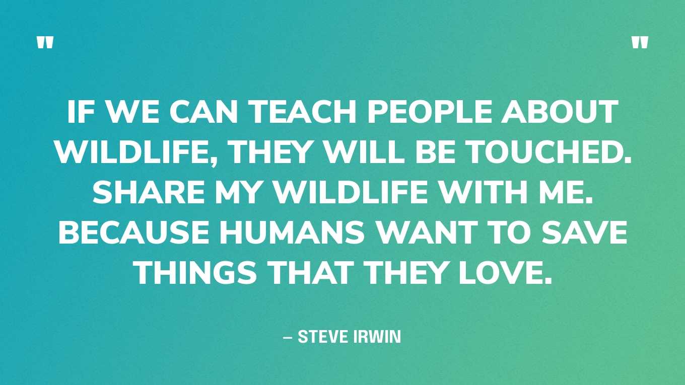“If we can teach people about wildlife, they will be touched. Share my wildlife with me. Because humans want to save things that they love.” — Steve Irwin