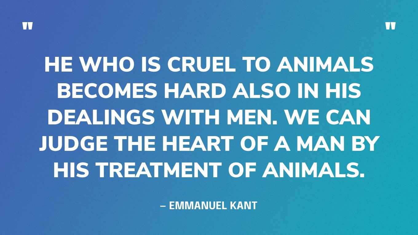 “He who is cruel to animals becomes hard also in his dealings with men. We can judge the heart of a man by his treatment of animals.” — Emmanuel Kant