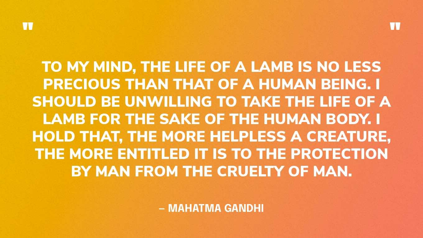 “To my mind, the life of a lamb is no less precious than that of a human being. I should be unwilling to take the life of a lamb for the sake of the human body. I hold that, the more helpless a creature, the more entitled it is to the protection by man from the cruelty of man.” — Mahatma Gandhi
