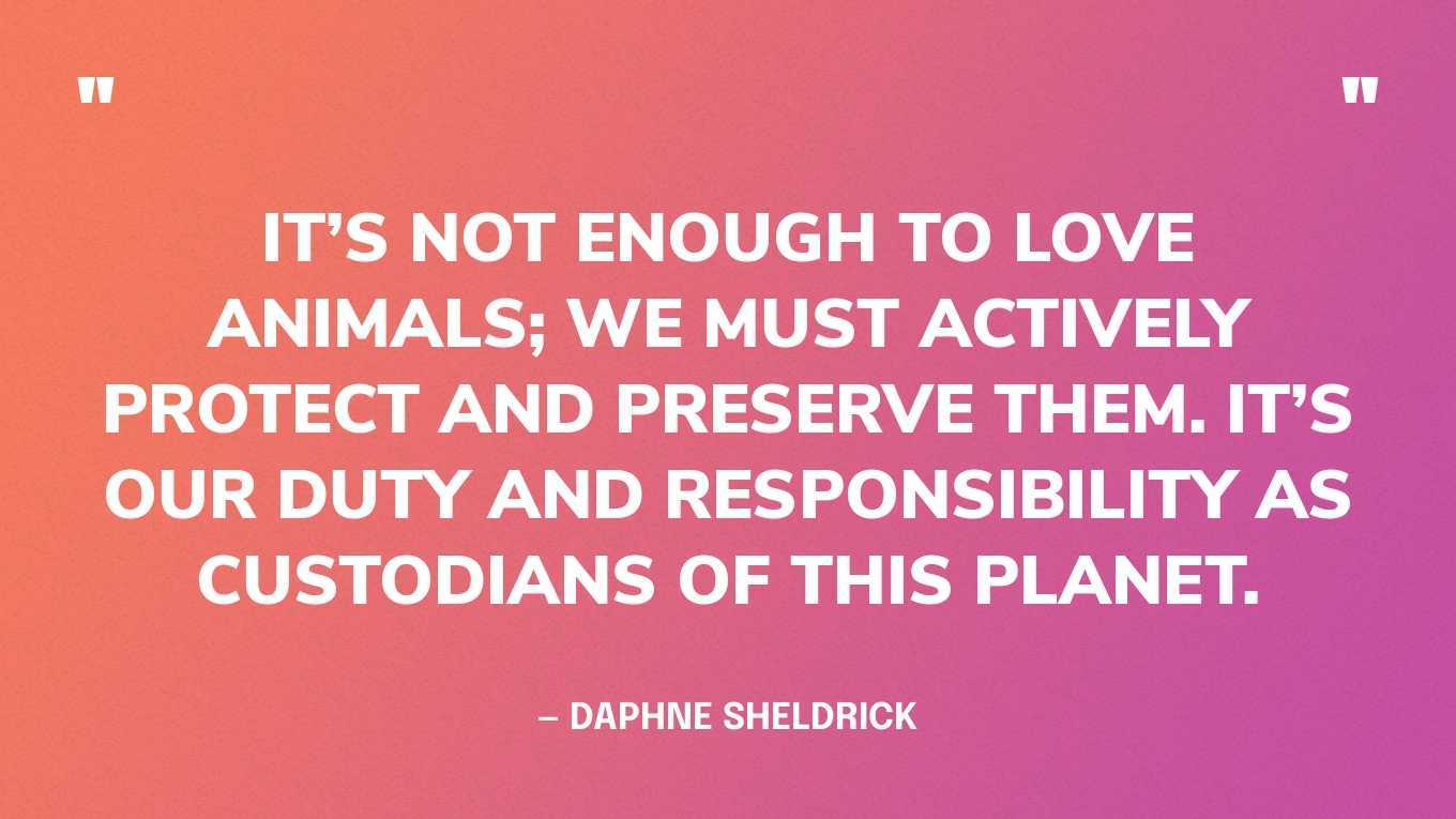 “It’s not enough to love animals; we must actively protect and preserve them. It’s our duty and responsibility as custodians of this planet.” — Daphne Sheldrick