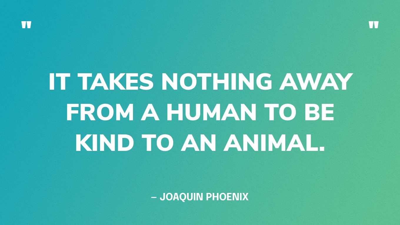 “It takes nothing away from a human to be kind to an animal.” — Joaquin Phoenix