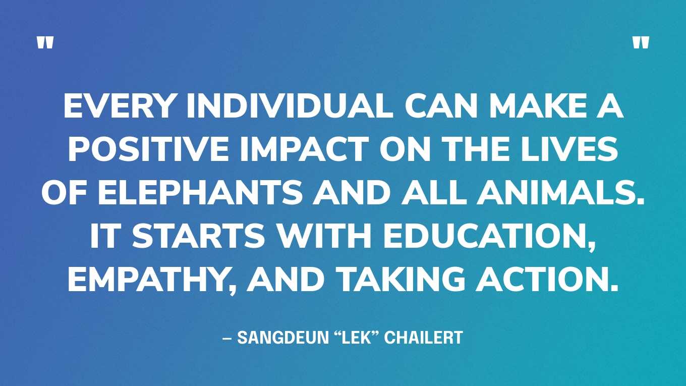 “Every individual can make a positive impact on the lives of elephants and all animals. It starts with education, empathy, and taking action.” — Sangdeun “Lek” Chailert