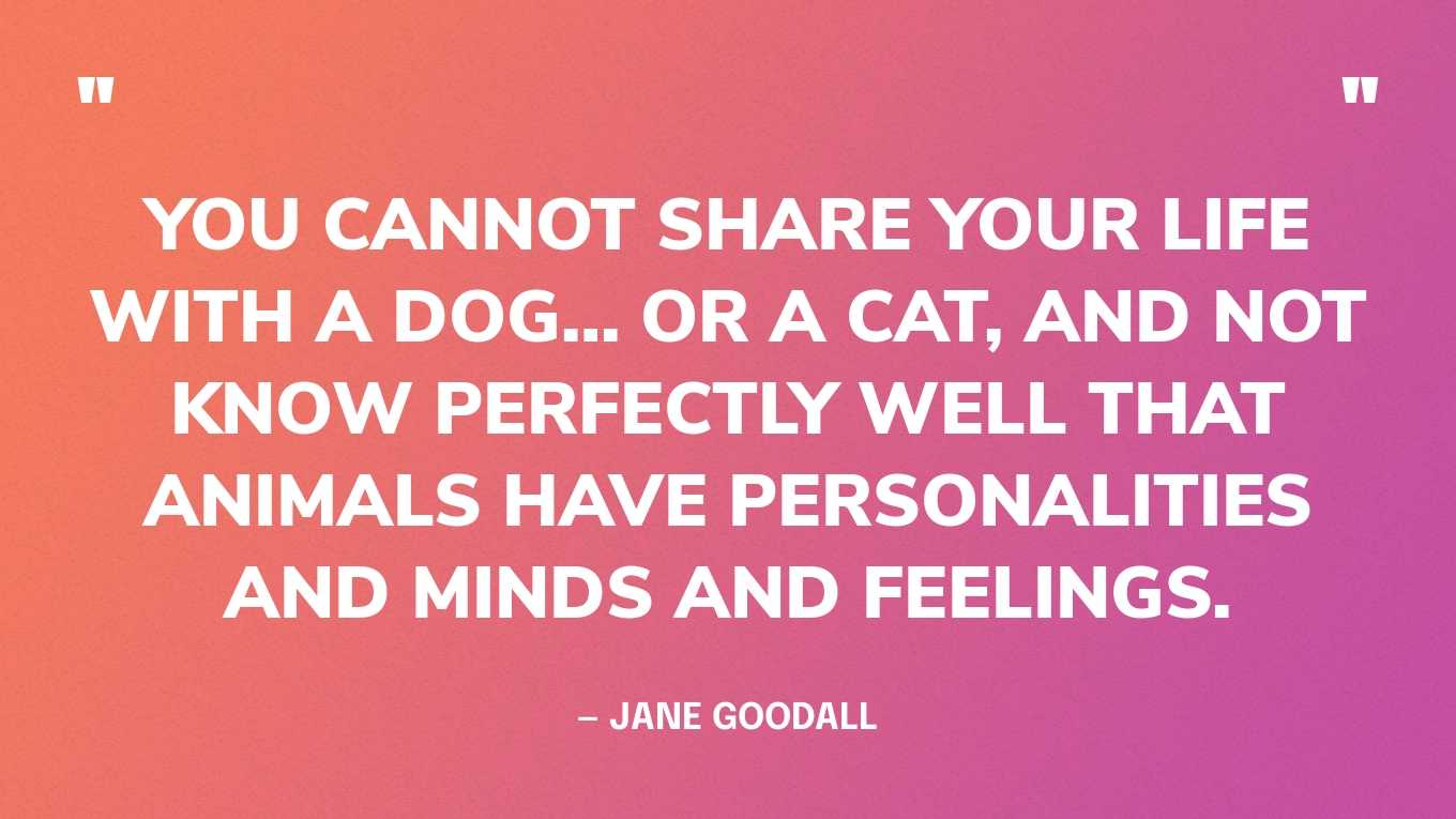 “You cannot share your life with a dog… or a cat, and not know perfectly well that animals have personalities and minds and feelings.” — Jane Goodall