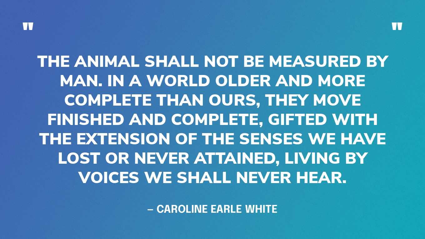“The animal shall not be measured by man. In a world older and more complete than ours, they move finished and complete, gifted with the extension of the senses we have lost or never attained, living by voices we shall never hear.” — Caroline Earle White