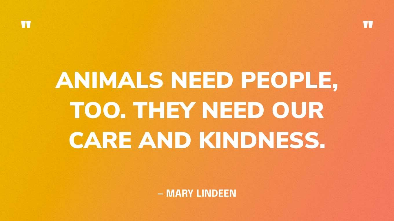 “Animals need people, too. They need our care and kindness.” — Mary Lindeen
