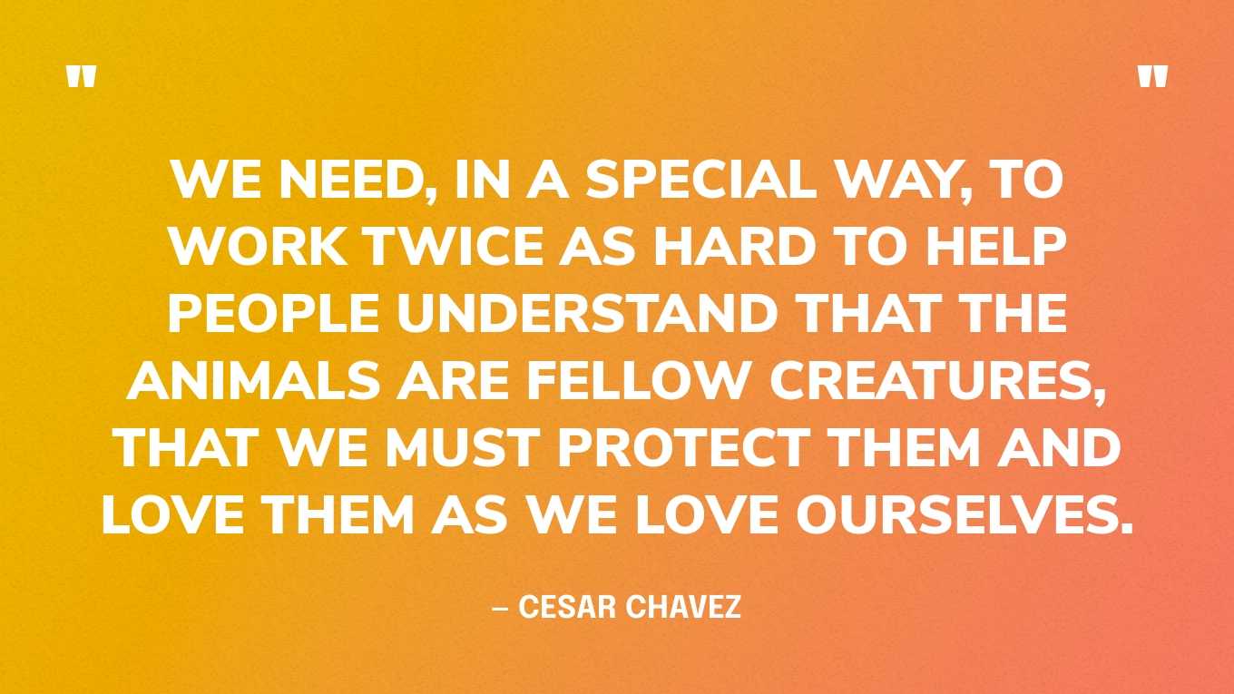 “We need, in a special way, to work twice as hard to help people understand that the animals are fellow creatures, that we must protect them and love them as we love ourselves.” — Cesar Chavez