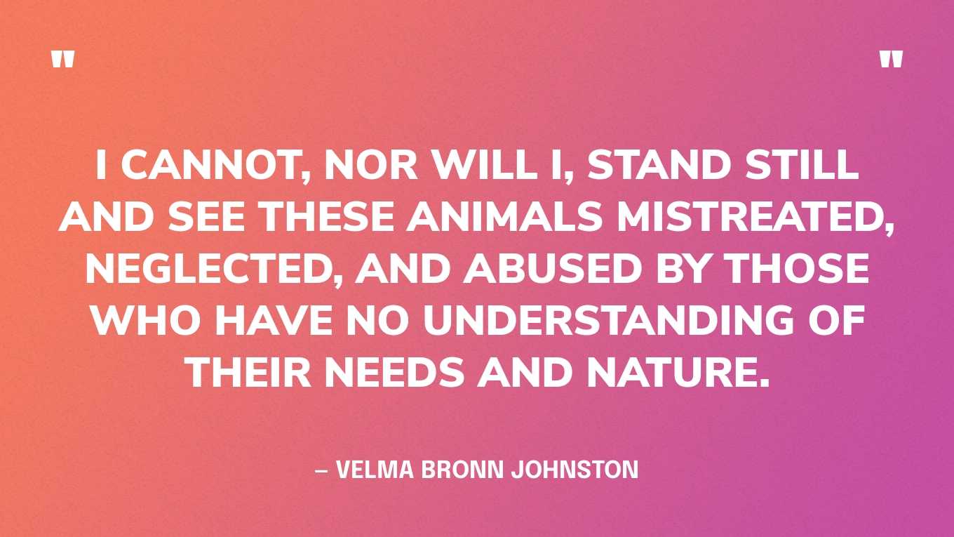 “I cannot, nor will I, stand still and see these animals mistreated, neglected, and abused by those who have no understanding of their needs and nature.” — Velma Bronn Johnston