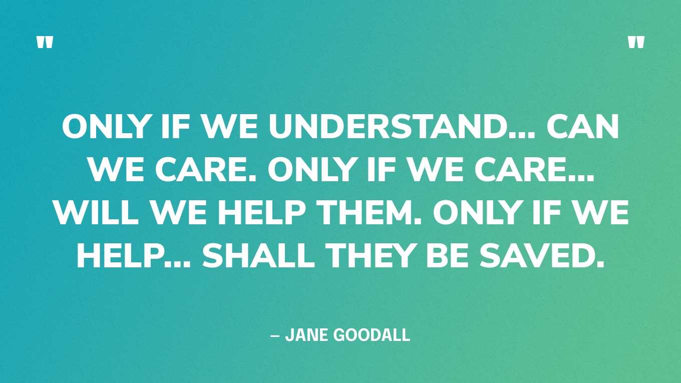 “Only if we understand... can we care. Only if we care… will we help them. Only if we help... shall they be saved.” — Jane Goodall‍