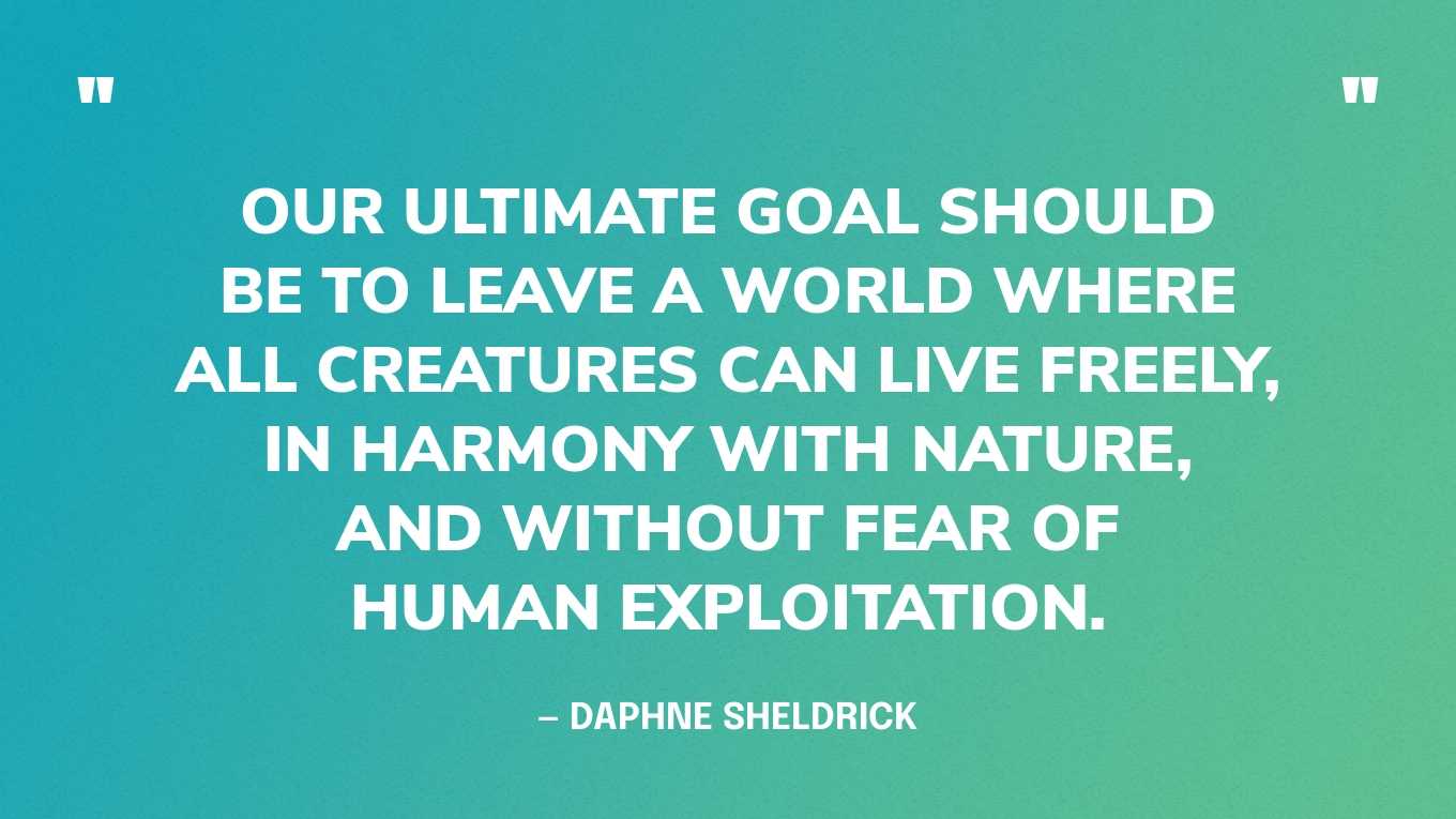 “Our ultimate goal should be to leave a world where all creatures can live freely, in harmony with nature, and without fear of human exploitation.” — Daphne Sheldrick