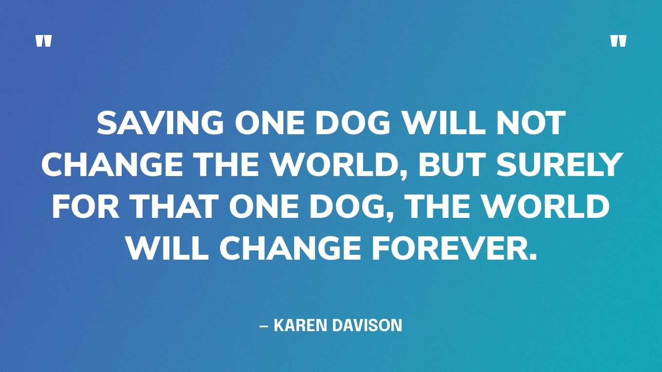 “Saving one dog will not change the world, but surely for that one dog, the world will change forever.” — Karen Davison