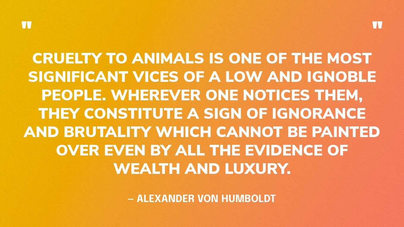 “Cruelty to animals is one of the most significant vices of a low and ignoble people. Wherever one notices them, they constitute a sign of ignorance and brutality which cannot be painted over even by all the evidence of wealth and luxury.” — Alexander von Humboldt‍