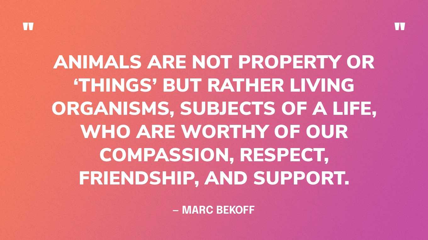“Animals are not property or ‘things’ but rather living organisms, subjects of a life, who are worthy of our compassion, respect, friendship, and support.” — Marc Bekoff‍
