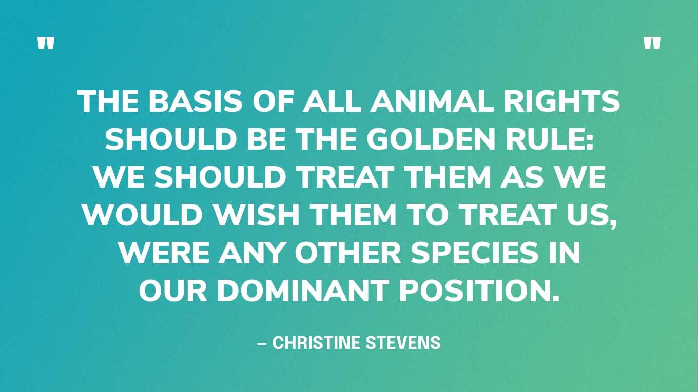 “The basis of all animal rights should be the Golden Rule: we should treat them as we would wish them to treat us, were any other species in our dominant position.” — Christine Stevens