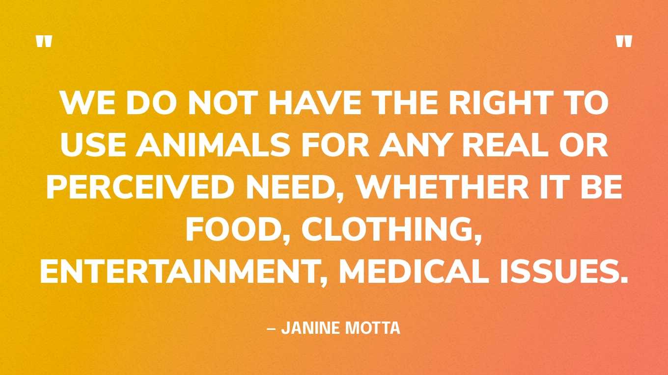 “We do not have the right to use animals for any real or perceived need, whether it be food, clothing, entertainment, medical issues.” — Janine Motta‍